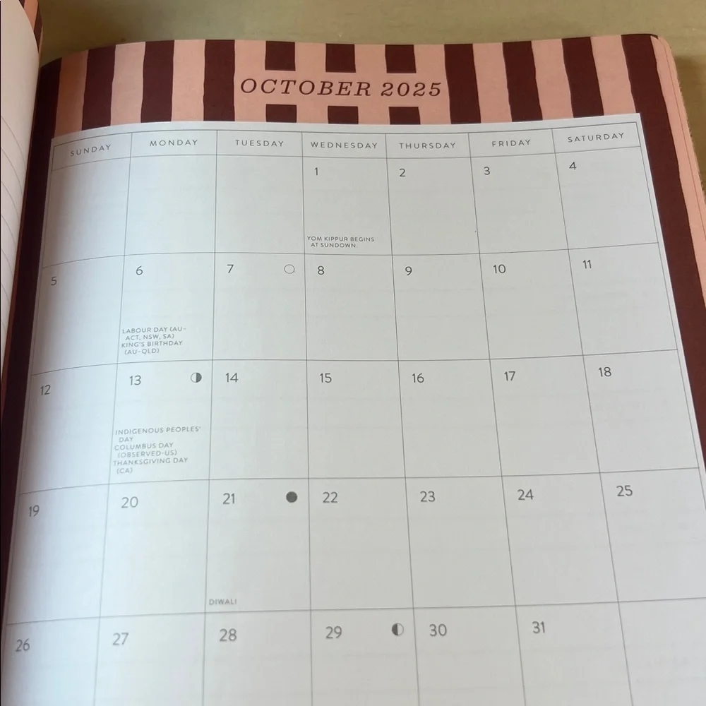 NWT Fringe 2025-2026 Rust Plaid Planner 07/25-12/26